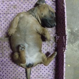 0x1F851066C3D5D4016709eFA09548354093c1e3CE