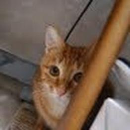 0x2Df9d1Ce065EA3d203C8592A02E9FbAC99A35CB3