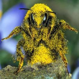 0x5564Caa789AD35E72b1612D1Bf78dD295b24605b