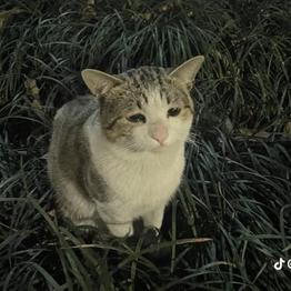 0x342850f5aE13Ed57ec0cd9E0f67dBD7B02Cc7b37