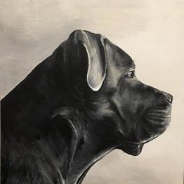 0x34aa6c9e5237494dF6F9102467f740376E19825F